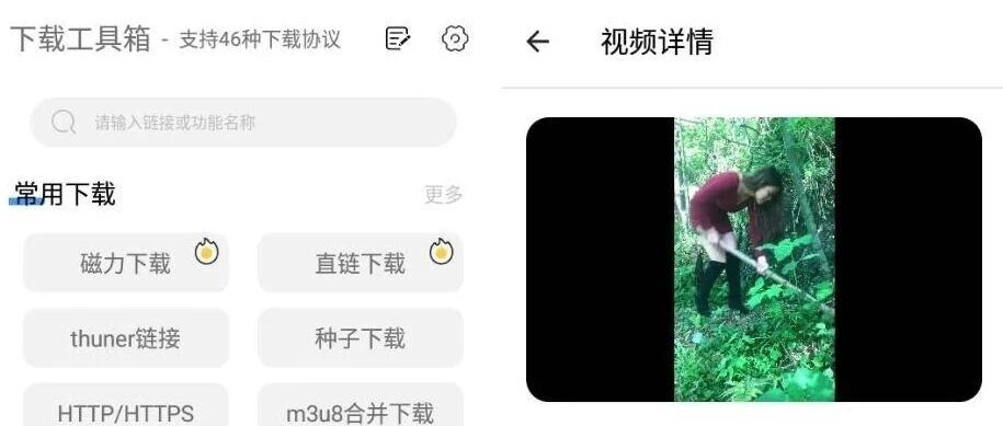 下载工具箱v407高级版界面截图