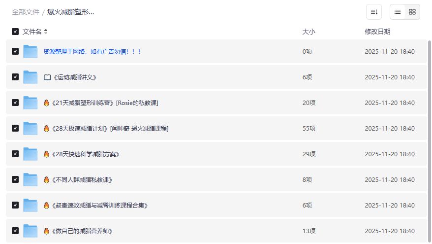 爆火减脂塑形教程套装截图