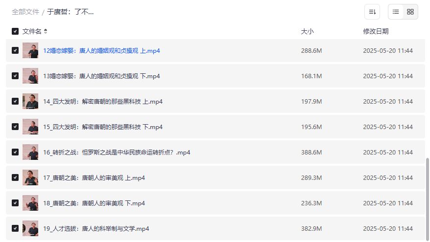 于赓哲大唐文明史全套视频免费下载 唐朝历史纪录片完整版在线观看