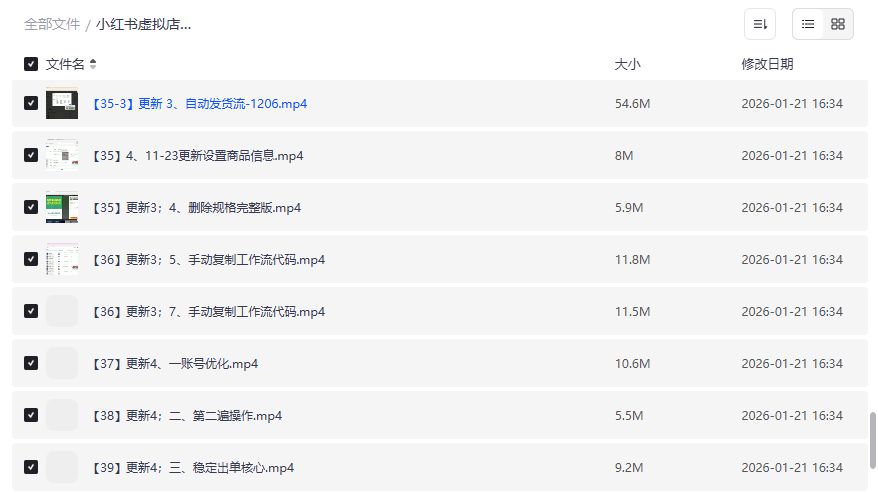 小红书虚拟店群自然流矩阵自动化玩法全套视频教程免费下载 小红书虚拟店群自然流矩阵自动化玩法全套视频教程免费下载