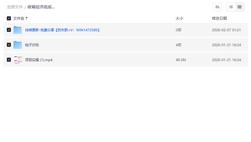 夜宵经济低成本创业实战模型，稳定日入几百的实操教程免费下载