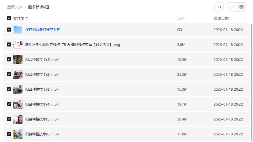 阳台种菜零基础入门视频教程全套下载 新手也能轻松打造家庭小菜园