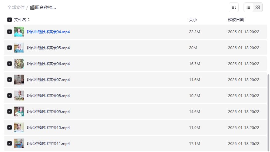 阳台种菜零基础入门到丰收的11节视频教程全套免费下载