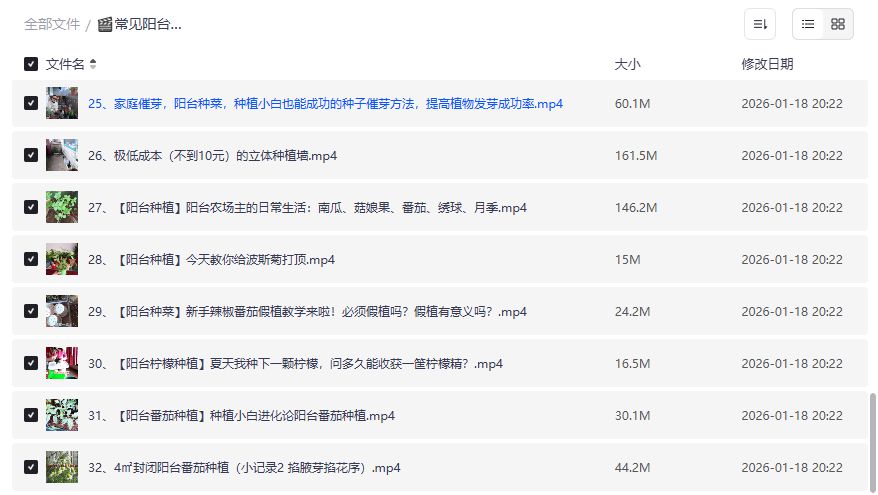 阳台种菜视频教程全套32集免费下载新手也能打造迷你菜园