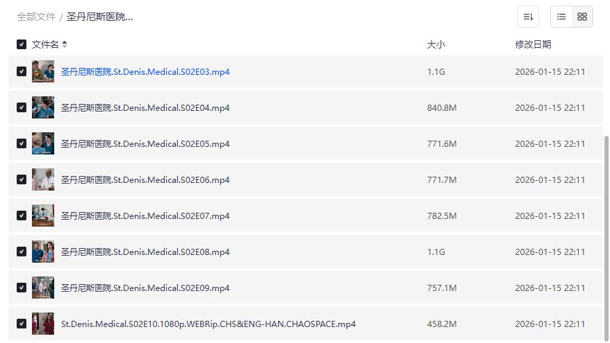 圣丹尼斯医院第二季剧照