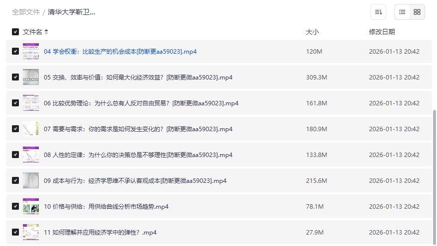 清华大学靳卫萍经济学思维30讲2026年完整版下载 职场人必看提升财商思维课