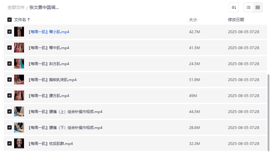 张文勇中国调衡针灸每周一肌视频教程全集下载，解决颈椎病腰痛肌肉疼痛问题，针灸学习必备资源2026年