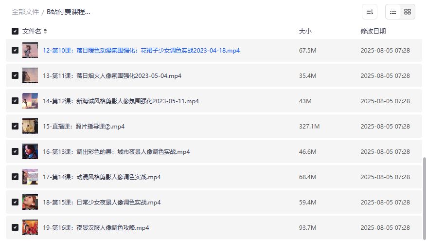 B站付费课程人像修图调色实战训练营全套视频教程资源下载 动漫风格新海诚落日夜景调色技巧2026年