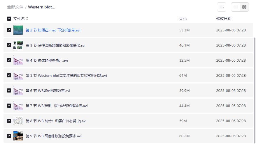 Western blot成功之道视频教程全套9节下载，WB实验技巧与mac分析指南，科研小白必备资源2026年