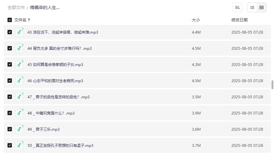 傅佩荣人生哲学音频课程全集下载 适合迷茫焦虑人群的智慧指南 提升修养境界的完整资源包2026年